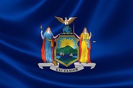   NY Inland Marine Adjuster schools